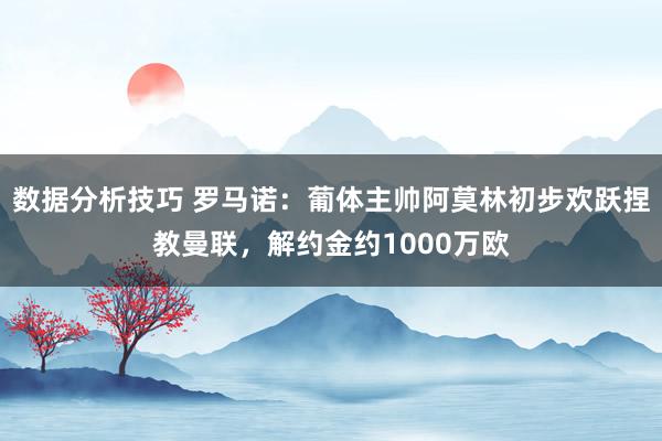 数据分析技巧 罗马诺：葡体主帅阿莫林初步欢跃捏教曼联，解约金约1000万欧