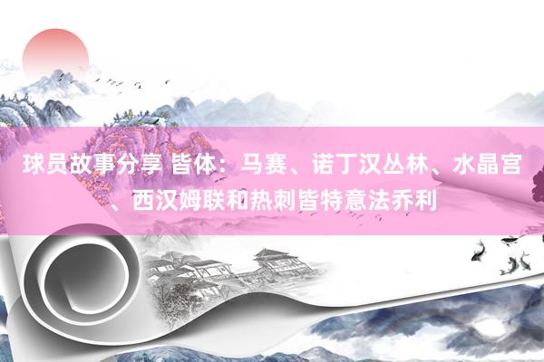 球员故事分享 皆体：马赛、诺丁汉丛林、水晶宫、西汉姆联和热刺皆特意法乔利