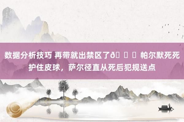 数据分析技巧 再带就出禁区了😂帕尔默死死护住皮球，萨尔径直从死后犯规送点