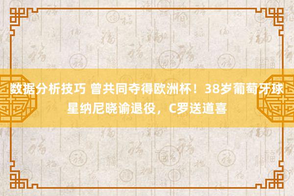 数据分析技巧 曾共同夺得欧洲杯！38岁葡萄牙球星纳尼晓谕退役，C罗送道喜