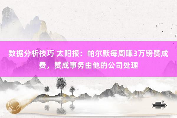 数据分析技巧 太阳报：帕尔默每周赚3万镑赞成费，赞成事务由他的公司处理