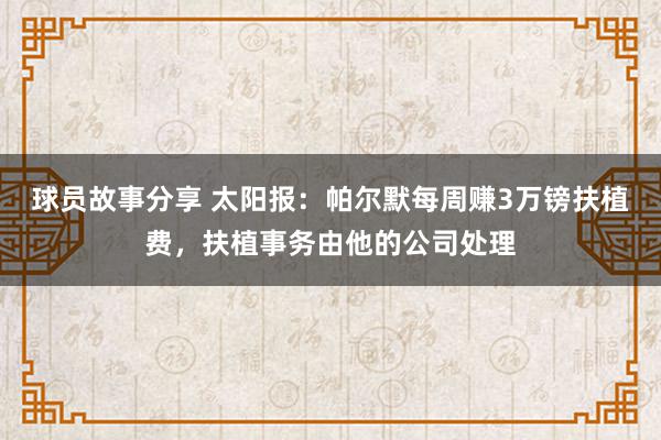 球员故事分享 太阳报：帕尔默每周赚3万镑扶植费，扶植事务由他的公司处理