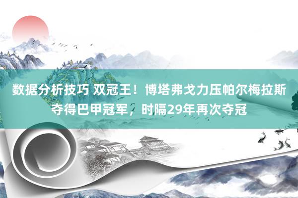 数据分析技巧 双冠王！博塔弗戈力压帕尔梅拉斯夺得巴甲冠军，时隔29年再次夺冠