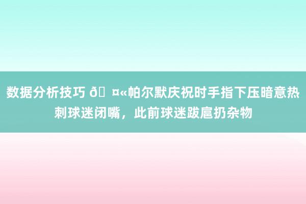 数据分析技巧 🤫帕尔默庆祝时手指下压暗意热刺球迷闭嘴，此前球迷跋扈扔杂物