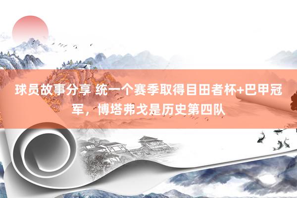 球员故事分享 统一个赛季取得目田者杯+巴甲冠军，博塔弗戈是历史第四队